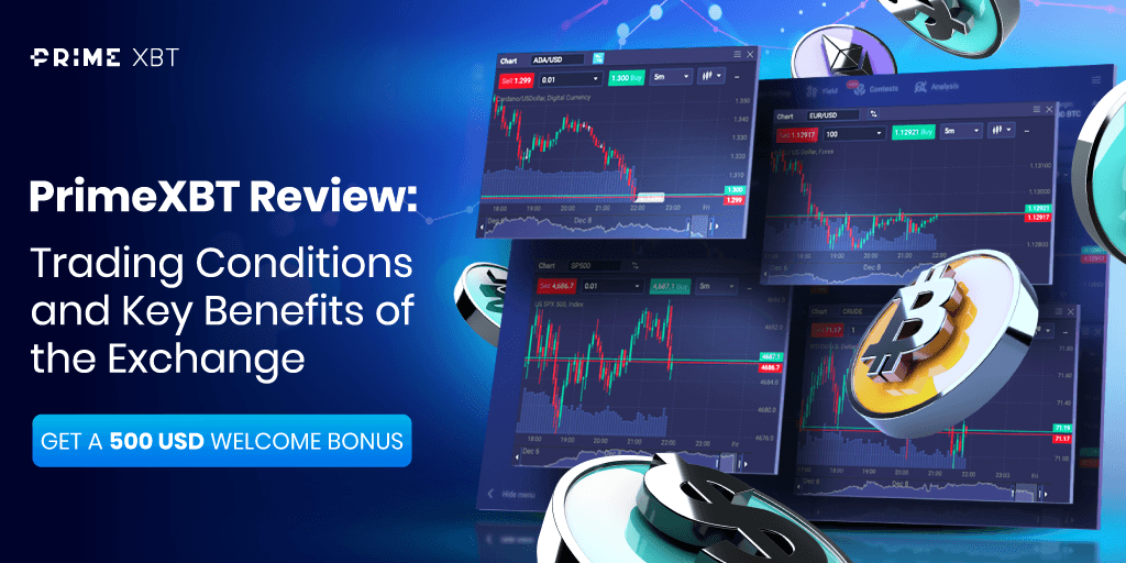 The Ultimate Guide to Trading on the PrimeXBT Website Argentina The Ultimate Guide to Trading on the PrimeXBT Website Argentina