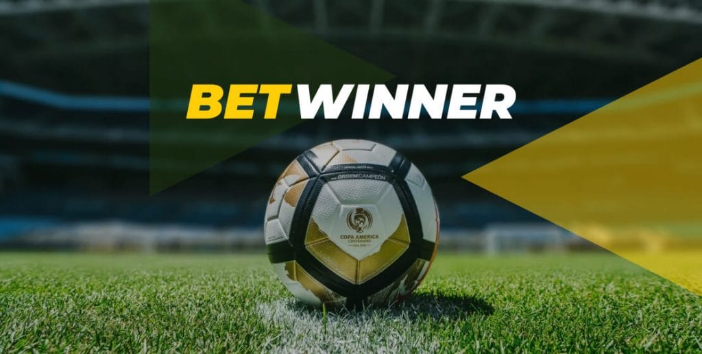 Experience the Excitement at Betwinner Casino