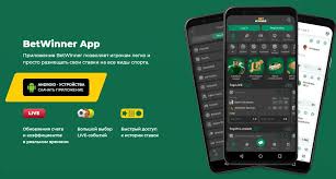 BetWinner Online Bookmaker Your Comprehensive Guide
