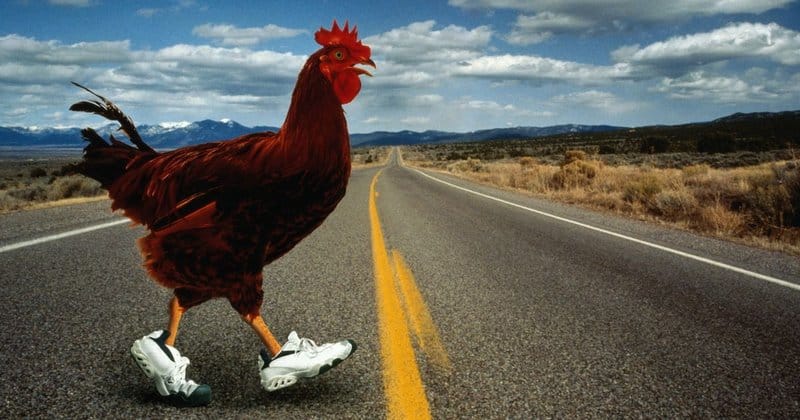Descubre el Emocionante Juego de Azar de La Chicken Road en España