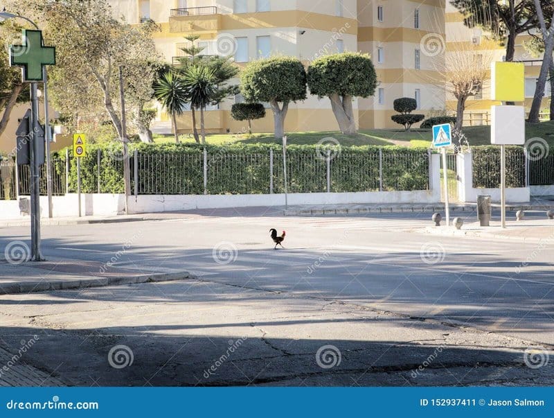 Conoce los Secretos de Chicken Road Casino en España en Línea