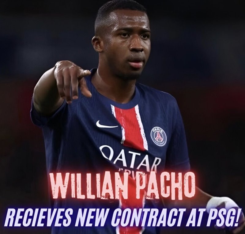 A look at mr pacho app