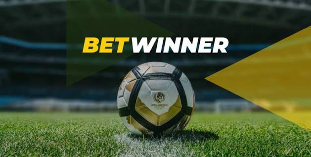 The Rise of BetWinner An In-Depth Look at the Online Gambling Platform